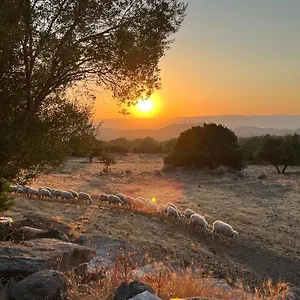 Su Saucu Ferienhaus Dorgali